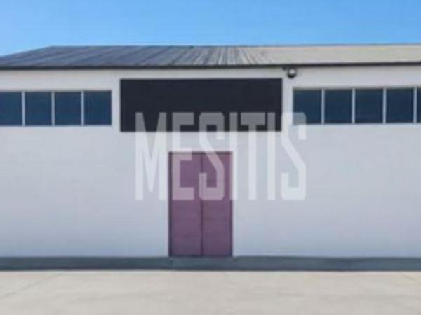 studio warehouse for rent aradippou larnaca 8903534 image 17387954