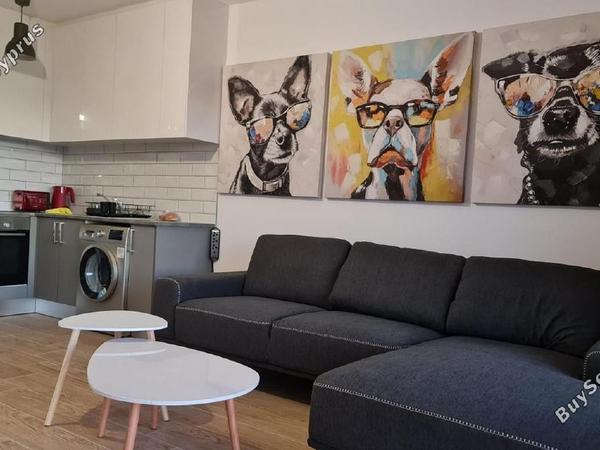 1 bedroom apartment for sale peyia paphos 8570634 image 15631565