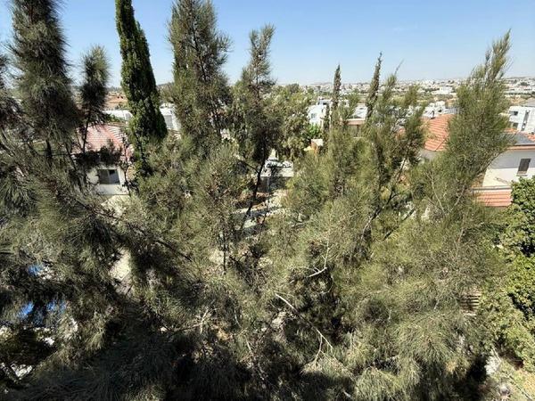 2 bedroom penthouse for sale aradippou larnaca 7740634 image 13527877