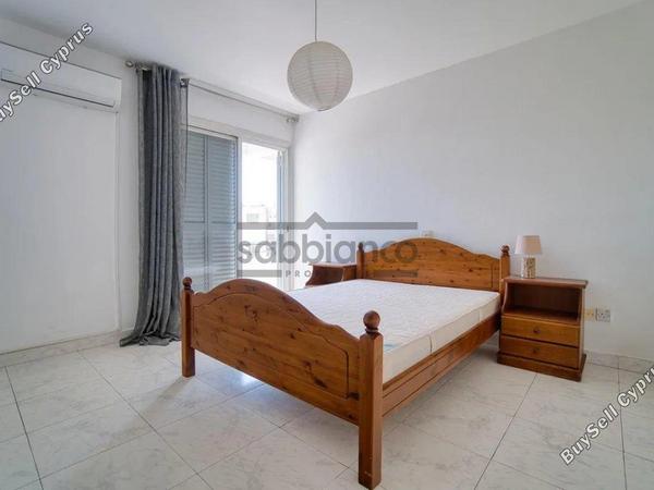 3 bedroom apartment for sale paphos municipality paphos 8736634 image 16349757