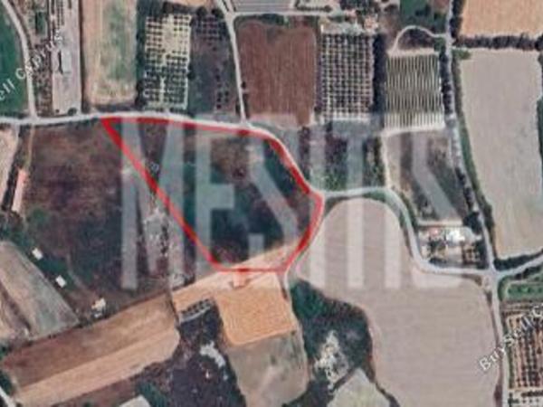 land for sale akrotiri limassol 1828634 image 10523570