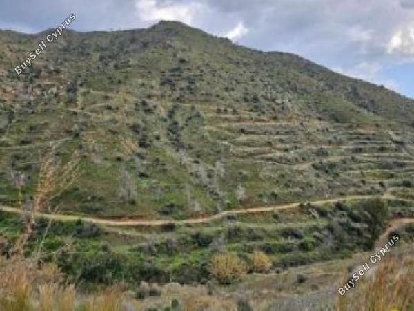 land for sale ora larnaca 1868634 image 6894751