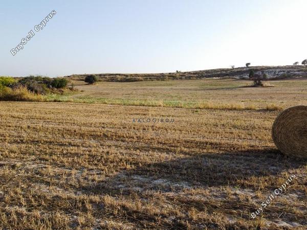 land for sale tersefanou larnaca 1196634 image 13270142