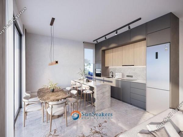 1 bedroom apartment for sale tremithousa paphos 8680734 image 16521852