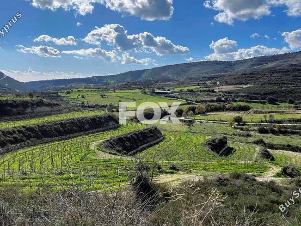 land for sale agios ambrosios limassol 1335734 image 9552298