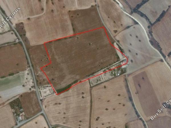 land for sale tochni larnaca 830734 image 13569579