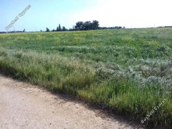 land for sale xylofagou larnaca 8412734 image 14905867