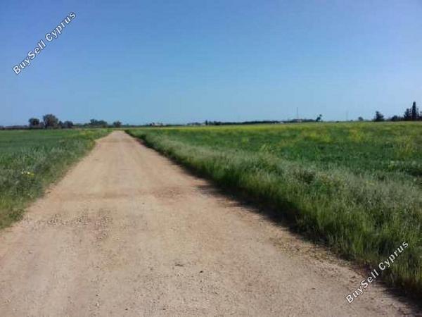 land for sale xylofagou larnaca 8412734 image 14905868