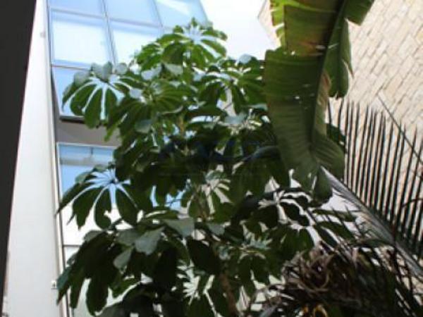 studio commercial building for rent katholiki limassol 7660734 image 14626456