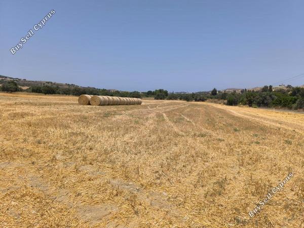 land for sale goudi paphos 8395834 image 15200908
