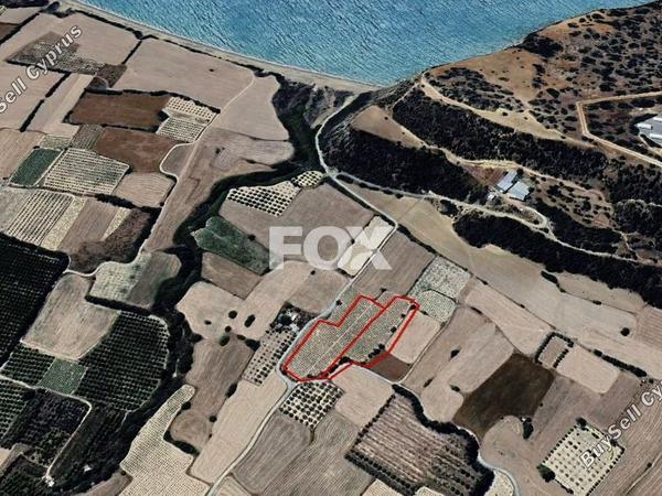 land for sale paramali limassol 1419834 image 13369158