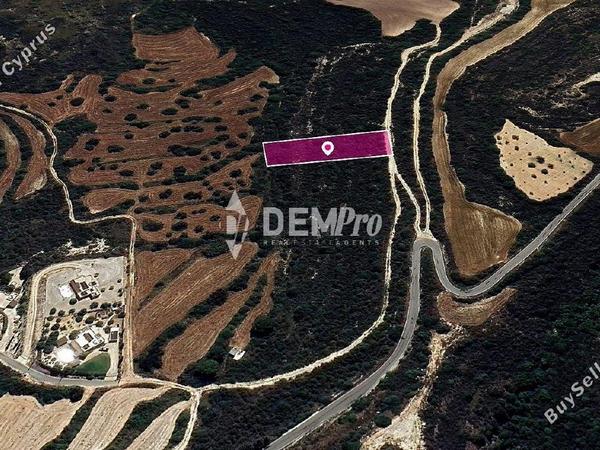 land for sale kritou tera paphos 7812934 image 10643950