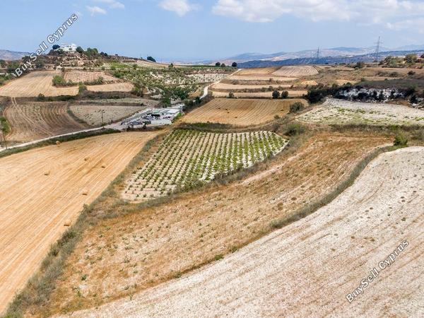 land for sale stroumbi paphos 8664934 image 17010008