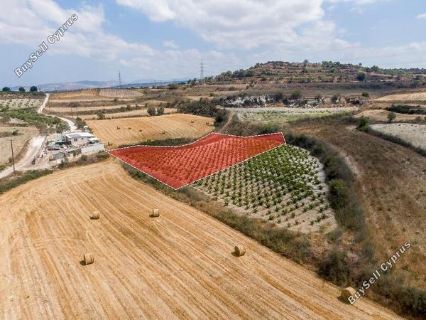 land for sale stroumbi paphos 8664934 image 17010010
