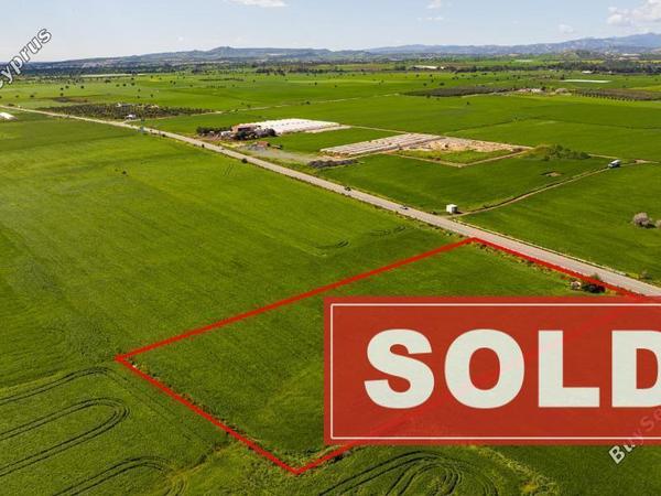 land sold softades larnaca 8301934 image 14083869