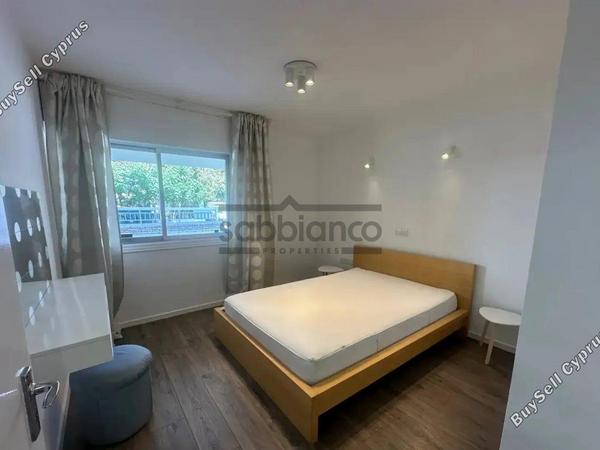 2 bedroom apartment for rent agioi omologitai nicosia 8749044 image 16471075