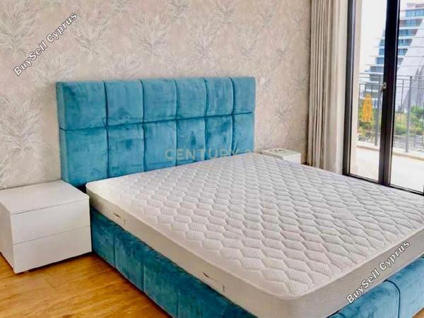 2 bedroom apartment for rent pyrgos limassol limassol 8468044 image 15249932