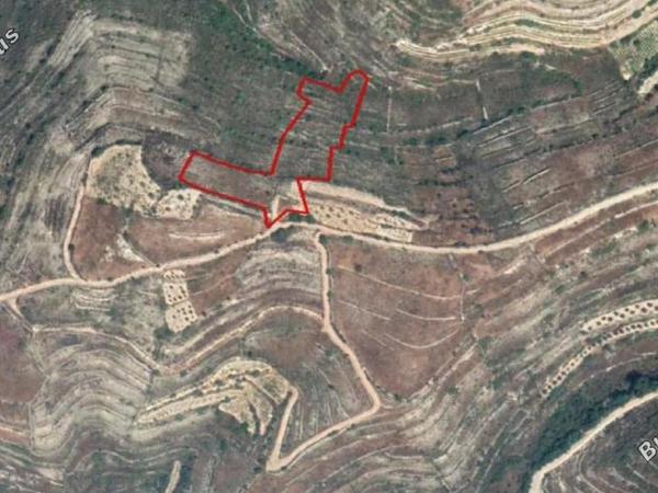 land for sale vouni limassol 8307044 image 14110643