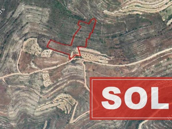 land sold vouni limassol 8307044 image 14110643