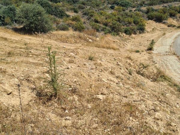 plot for sale germasogeia limassol 1055044 image 6239113