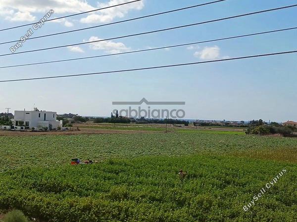 3 bedroom detached house for sale kiti larnaca 8737144 image 16352859