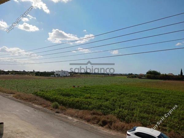 3 bedroom detached house for sale kiti larnaca 8737144 image 16352860