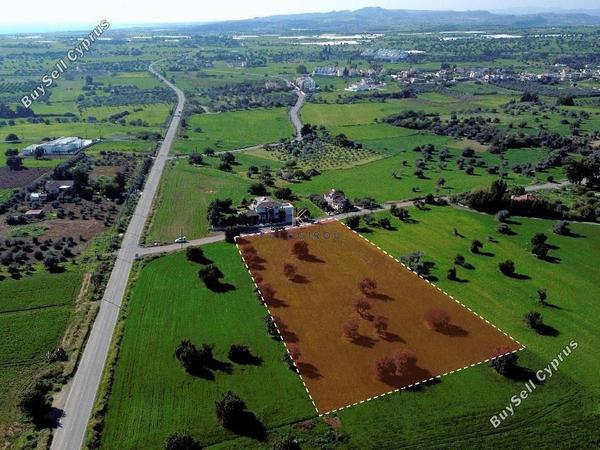 land for sale mazotos larnaca 1245144 image 10949156