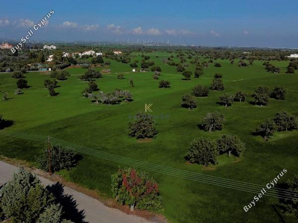 land for sale mazotos larnaca 1245144 image 10949157