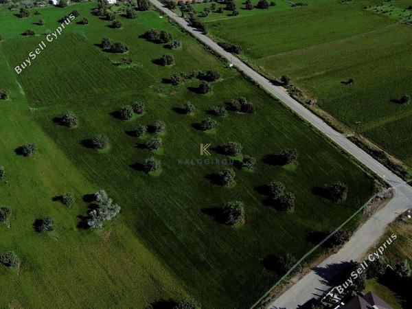 land for sale mazotos larnaca 1245144 image 10949158