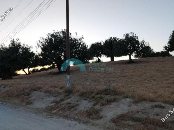 land for sale pachna limassol 922144 image 5413332