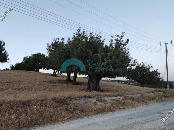 land for sale pachna limassol 922144 image 5413334