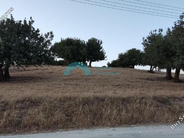 land for sale pachna limassol 922144 image 5413338