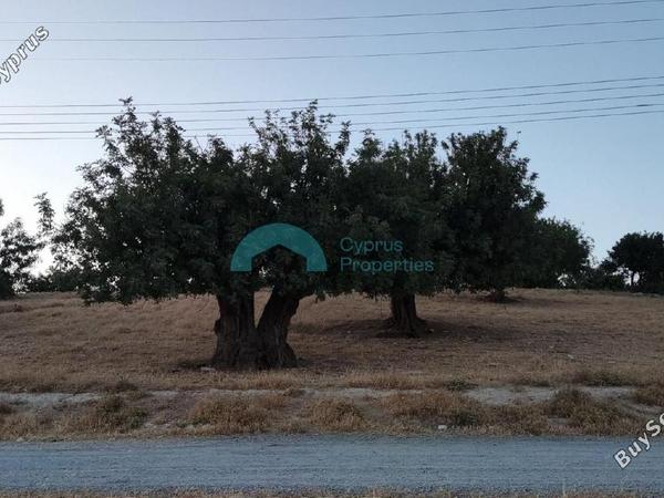 land for sale pachna limassol 922144 image 5413343