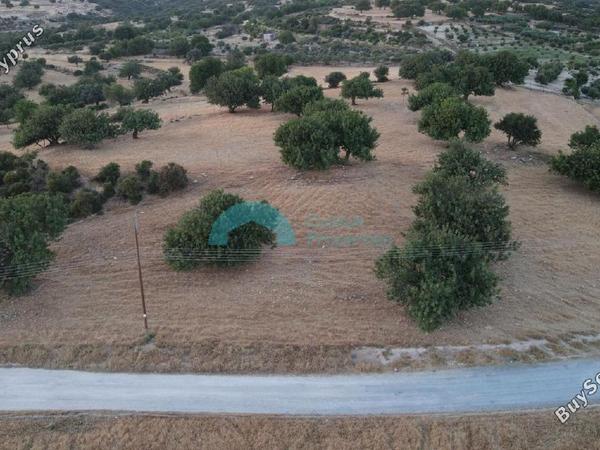 land for sale pachna limassol 922144 image 5413346