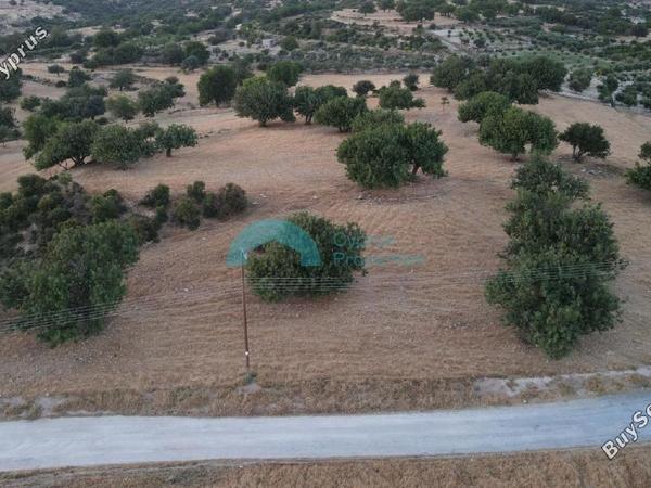 land for sale pachna limassol 922144 image 5413349
