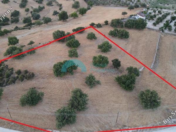 land for sale pachna limassol 922144 image 5413353