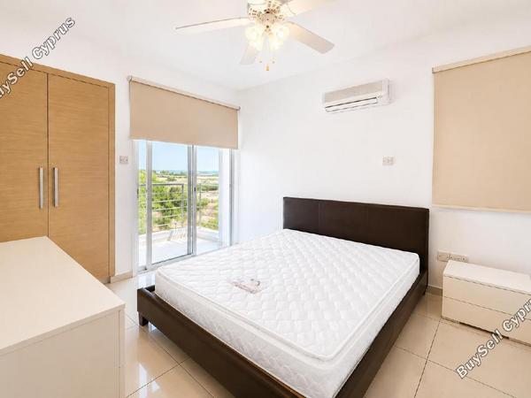 1 bedroom apartment for rent livadia larnacas larnaca 8786244 image 16667393
