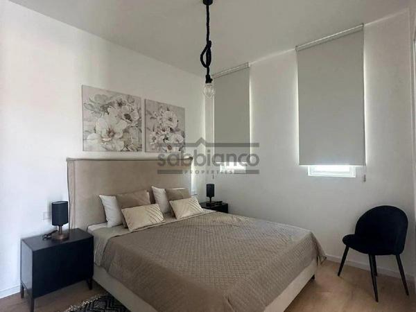 2 bedroom apartment for rent chrysopolitissa larnaca 8736244 image 16347201
