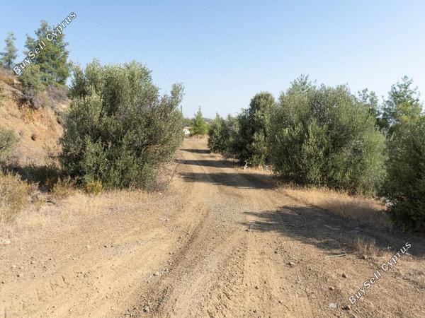 land for sale lythrodontas nicosia 8908244 image 17400151