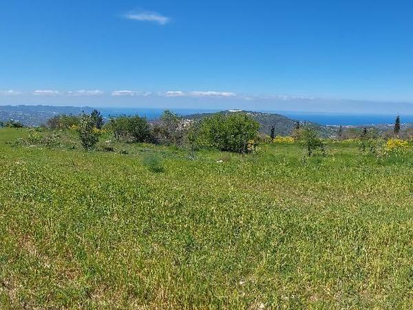 land for sale poli chrysochous paphos 7882244 image 11004640
