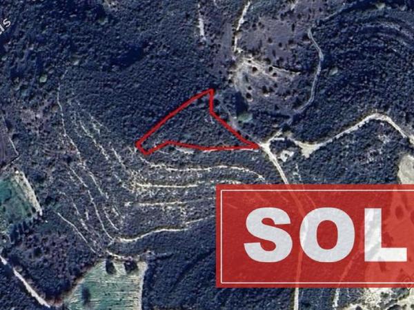 land sold pano kivides limassol 8139244 image 14760799