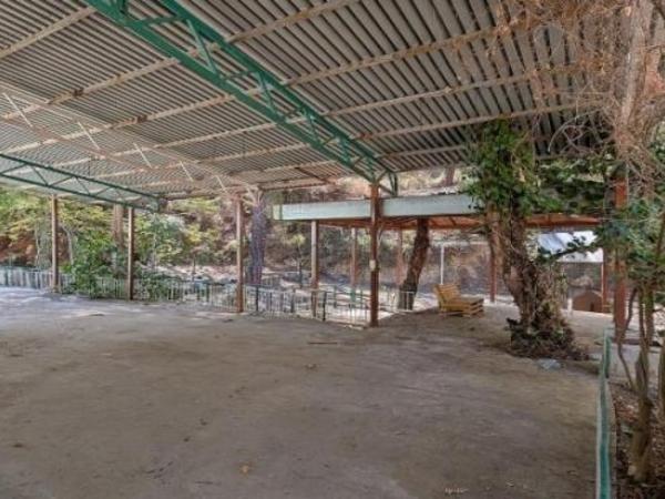 studio cafe for sale kakopetria nicosia 7804244 image 16168117