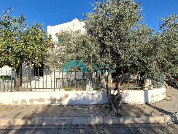 3 bedroom detached house for sale dekeleia larnaca 8417344 image 14930880