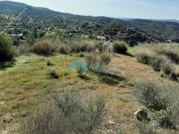 land for sale lageia larnaca 1325344 image 5445229