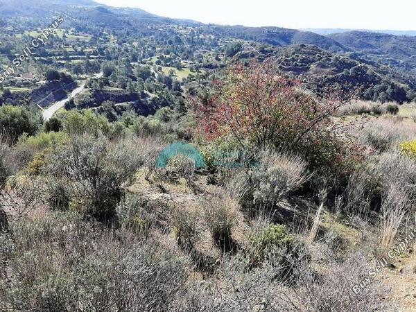 land for sale lageia larnaca 1325344 image 5445230