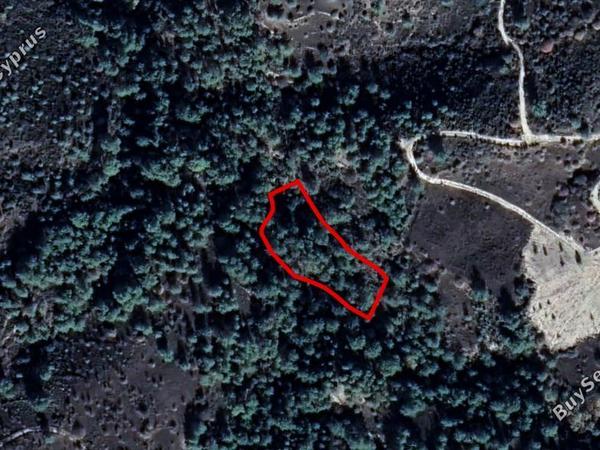land for sale mousere paphos 839344 image 5480464