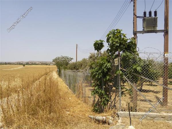 1 bedroom detached house for sale pera orinis nicosia 8693444 image 16251943