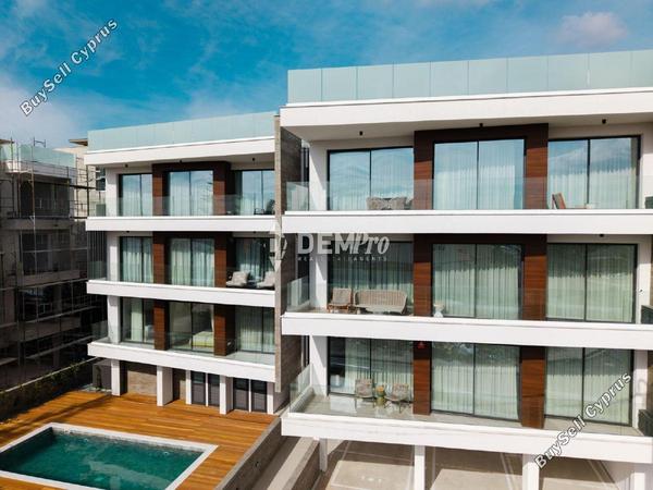 2 bedroom apartment for rent kato paphos universal paphos 8720444 image 16316475