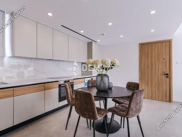 2 bedroom apartment for rent kato paphos universal paphos 8720444 image 16316487