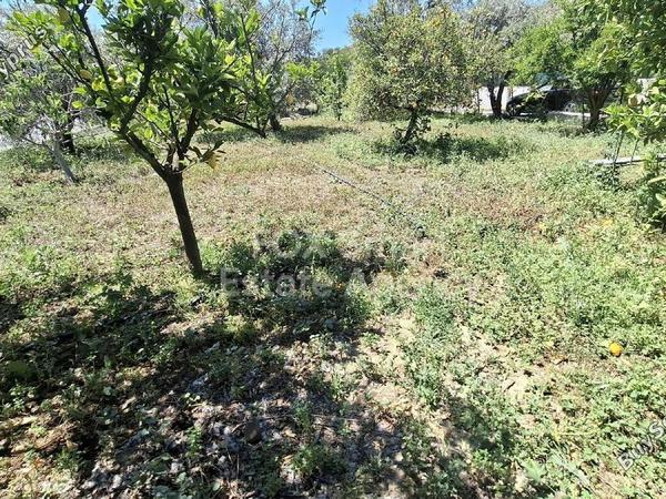 4 bedroom detached house for sale pera orinis nicosia 1795444 image 12689086
